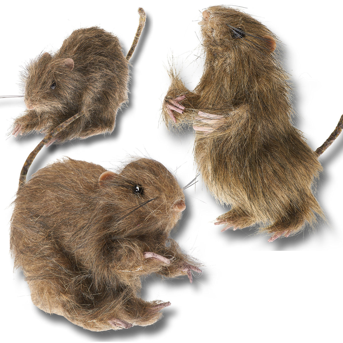 Realistic Furry Fake Rats for Best Halloween Decoration: Halloween Fake Rats Realistic Rats Halloween Trick Toys Decoration Party Props etc.