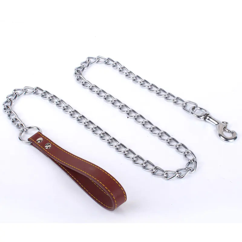 Laisse-collier de traction pour chien avec chaîne anti-morsure