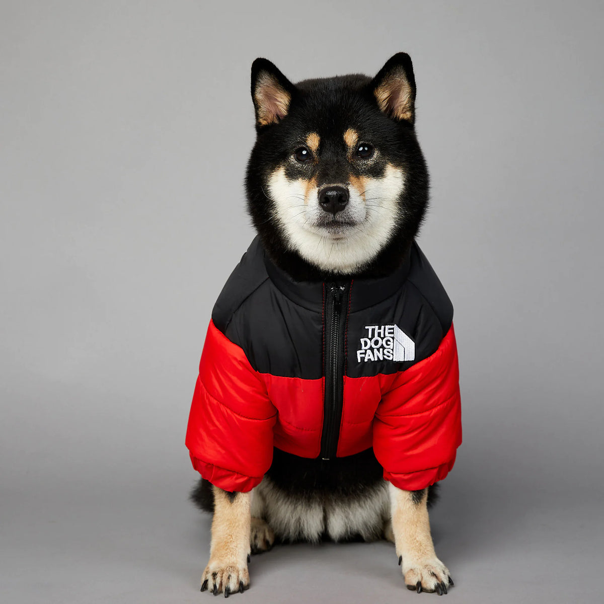 Imperméable tendance pour chien avec doublure chaude