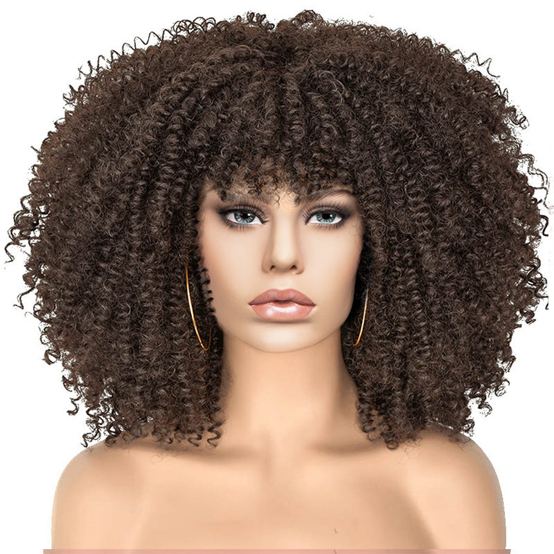 New Short Curly African American Wigs with Rose Net