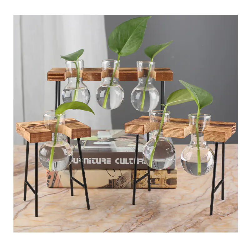 Décoration hydroponique en verre avec cadre en bois créatif