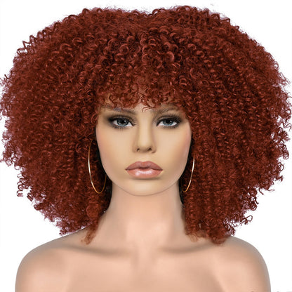 New Short Curly African American Wigs with Rose Net