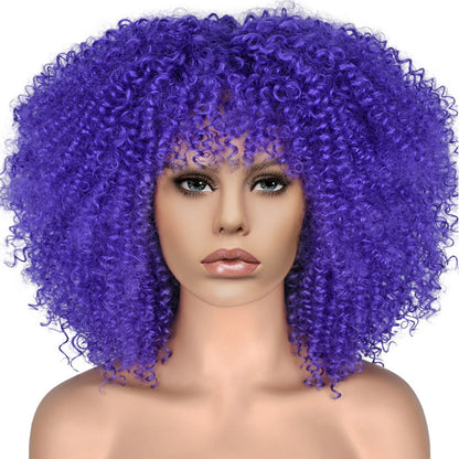 New Short Curly African American Wigs with Rose Net