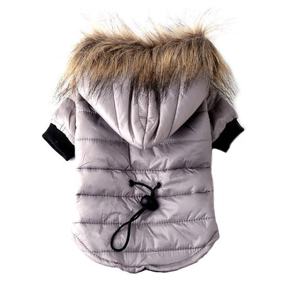 Autumn Winter Teddy Pet Sweater Clothing