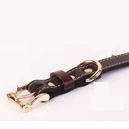 WalkPro Collection - Multi-Purpose Leather Dog Collar and Leash Set