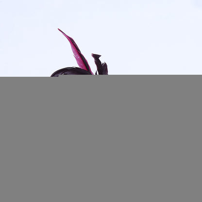 Half Face Feather Flower Mask for Parties and Events
