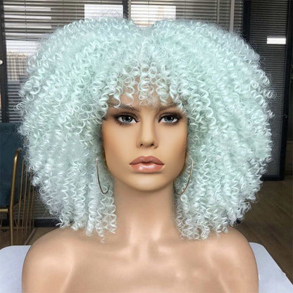 New Short Curly African American Wigs with Rose Net