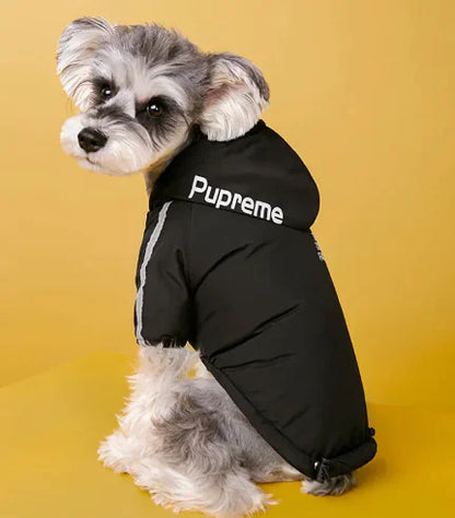 플러시 벨벳 안감 겨울견 자켓