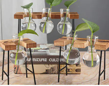 Décoration hydroponique en verre avec cadre en bois créatif