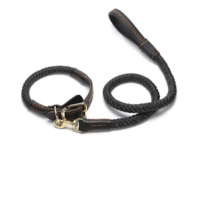 Laisse pour chien en cuir pour races moyennes et grandes