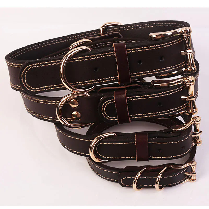 WalkPro Collection - Multi-Purpose Leather Dog Collar and Leash Set