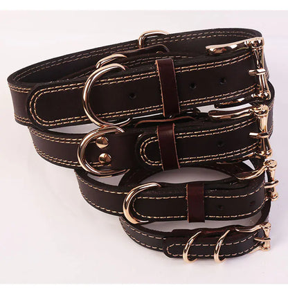 WalkPro Collection - Multi-Purpose Leather Dog Collar and Leash Set