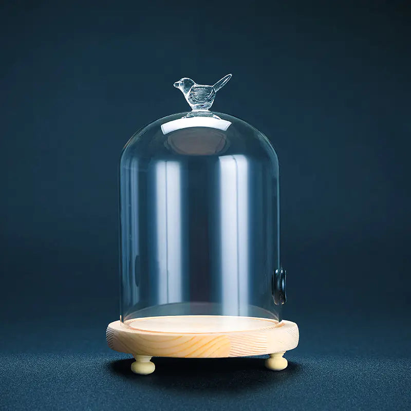 Dôme Fumeur à Cocktails en Verre Acrylique Fumé