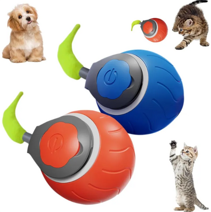 PlayLab Collection - Interactive Indoor Cat Ball Toy