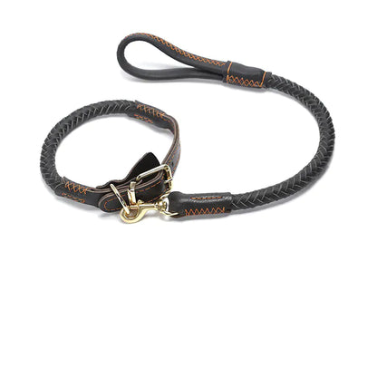 Laisse pour chien en cuir pour races moyennes et grandes