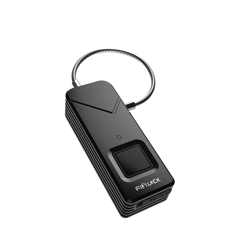 Mini-cadenas portable à empreinte digitale pour sacs et armoires haut de gamme