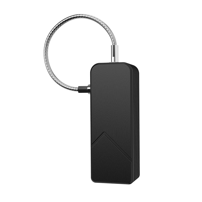 Mini-cadenas portable à empreinte digitale pour sacs et armoires haut de gamme