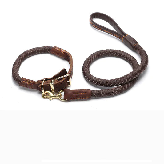 WalkPro Collection - Leather Dog Leash for Medium and Large Breeds