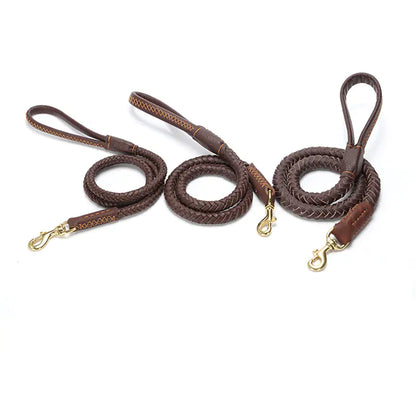 Laisse pour chien en cuir pour races moyennes et grandes