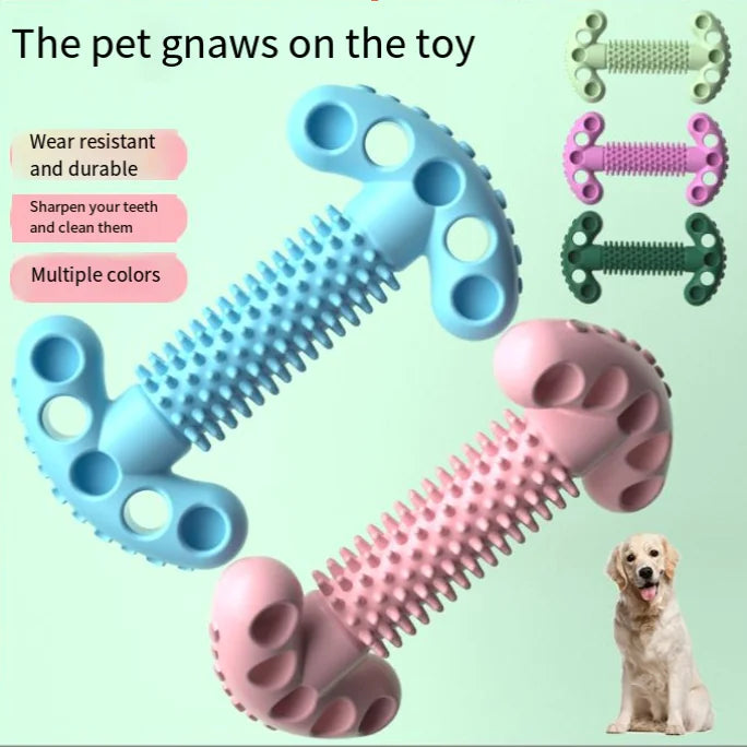 Jouets en forme d'os à mâcher pour chien pour la santé dentaire
