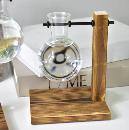 Hydroponic Pothos in Modern Glass Vase