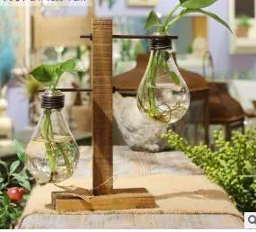 Hydroponic Pothos in Modern Glass Vase